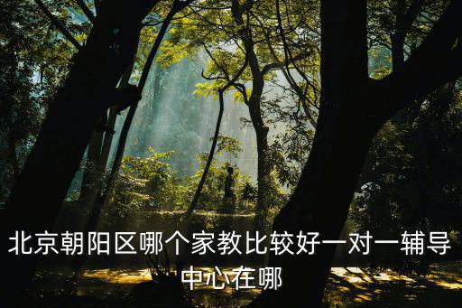 北京朝陽區哪個家教比較好一對一輔導中心在哪