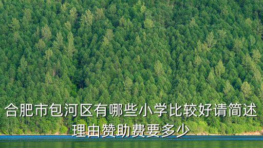 合肥市包河區有哪些小學比較好請簡述理由贊助費要多少