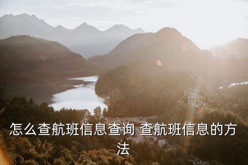 怎么查航班信息查詢 查航班信息的方法