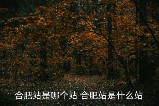 合肥站是哪個站 合肥站是什么站