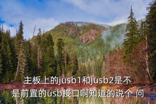 jus，主板上的jusb1和jusb2是不是前置的usb接口啊知道的說個 問