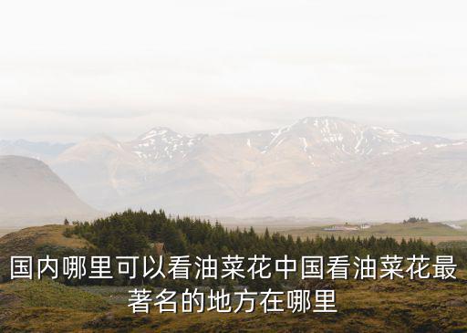國內(nèi)哪里可以看油菜花中國看油菜花最著名的地方在哪里