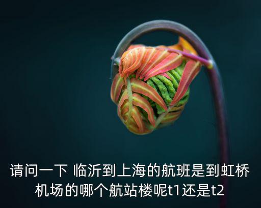 請問一下 臨沂到上海的航班是到虹橋機場的哪個航站樓呢t1還是t2