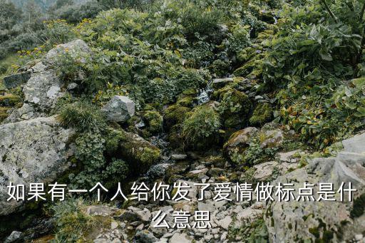 如果有一個人給你發(fā)了愛情做標(biāo)點(diǎn)是什么意思