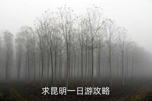 求昆明一日游攻略