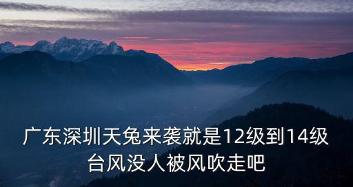 廣東深圳天兔來襲就是12級到14級臺風沒人被風吹走吧