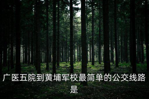 廣醫(yī)五院到黃埔軍校最簡單的公交線路是