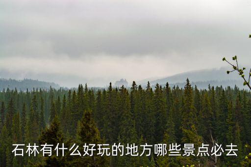 石林有什么好玩的地方哪些景點必去