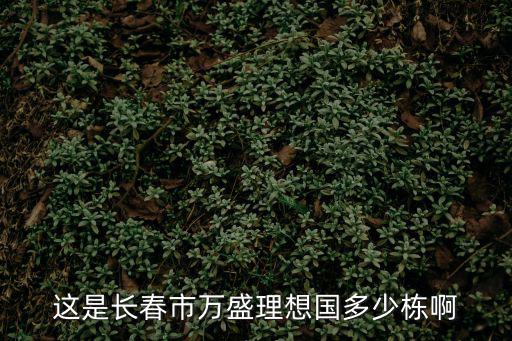 萬(wàn)盛理想國(guó)，長(zhǎng)春汽車廠坐什么車到萬(wàn)盛理想國(guó)