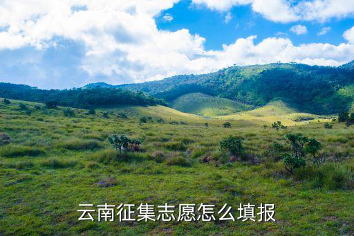 云南征集志愿怎么填報