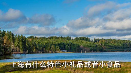 上海有什么特色小禮品或者小食品