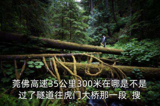 莞番高速，東莞莞高速公路入口2514和2519出口是哪里
