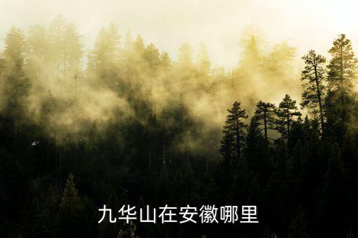 九華山在安徽哪里