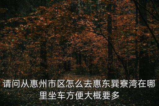 請問從惠州市區(qū)怎么去惠東巽寮灣在哪里坐車方便大概要多