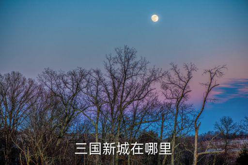 三國新城在哪里