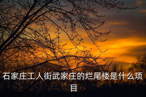 石家莊工人街武家莊的爛尾樓是什么項目