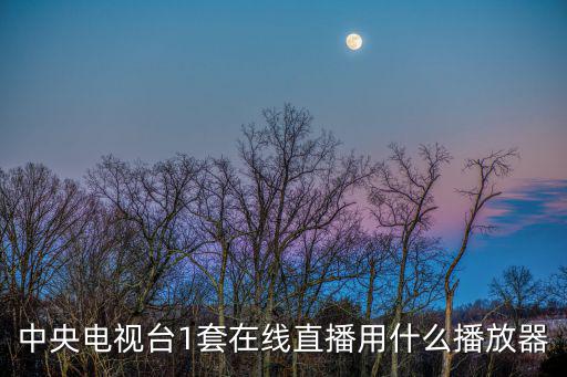 中央電視臺1套在線直播用什么播放器
