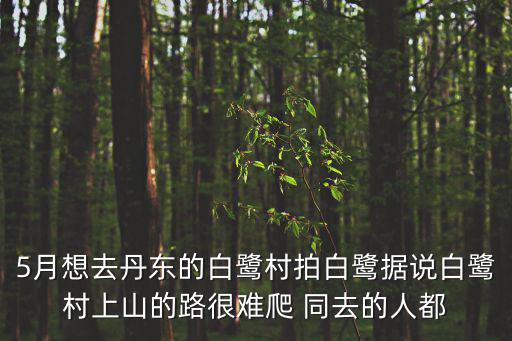 5月想去丹東的白鷺村拍白鷺據說白鷺村上山的路很難爬 同去的人都