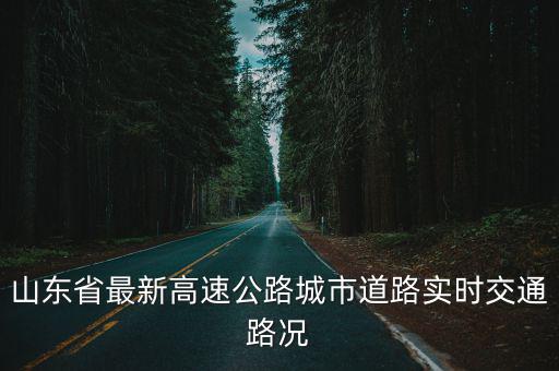 山東省最新高速公路城市道路實時交通路況