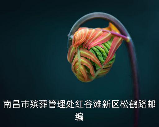 南昌市殯葬管理處紅谷灘新區松鶴路郵編