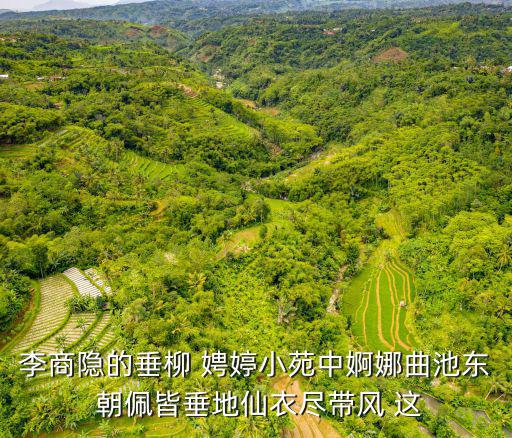 李商隱的垂柳 娉婷小苑中婀娜曲池東 朝佩皆垂地仙衣盡帶風 這