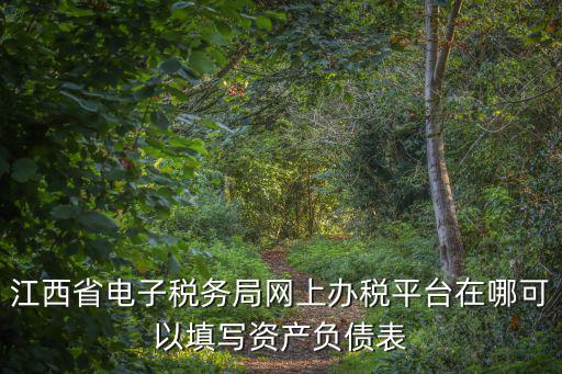 江西省電子稅務局網上辦稅平臺在哪可以填寫資產負債表