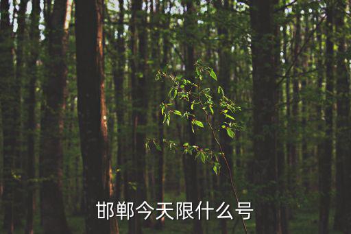 河北邯鄲限號，邯鄲市內(nèi)限車牌號嗎如果限號每天限什么號
