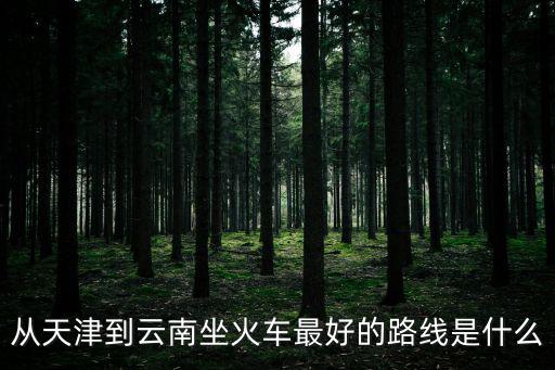從天津到云南坐火車最好的路線是什么