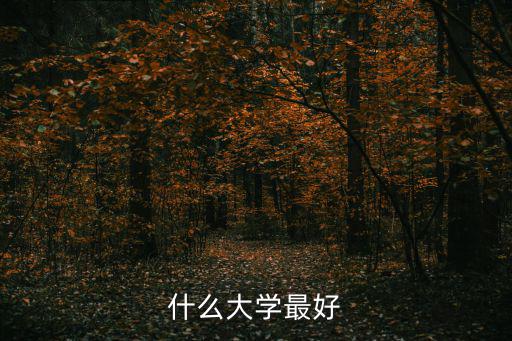 什么大學最好