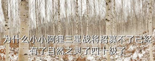 為什么小小阿貍三星戰將招募不了已經有了自然之靈了四十級了