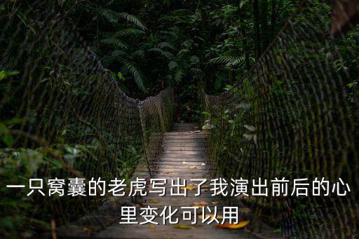 一只窩囊的老虎寫(xiě)出了我演出前后的心里變化可以用