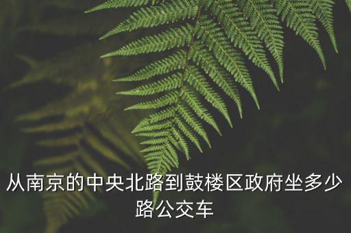 從南京的中央北路到鼓樓區(qū)政府坐多少路公交車