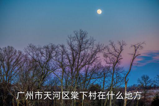 棠下村，廣州棠下村屬于哪個(gè)區(qū)