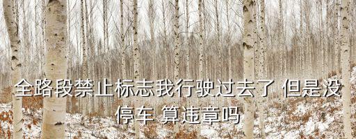 全路段禁止標志我行駛過去了 但是沒停車 算違章嗎