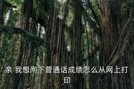 親 我想問下普通話成績怎么從網上打印
