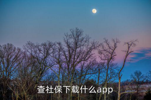 查社保下載什么app