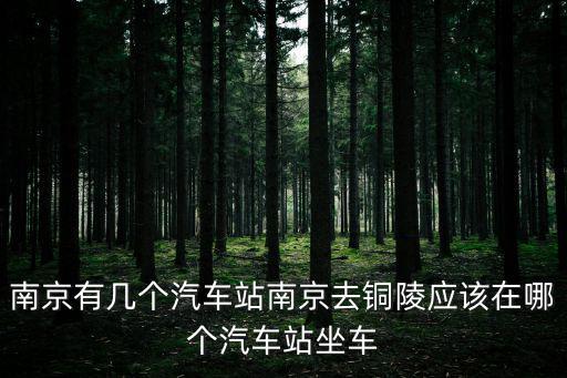 南京信息港，南京市民訪問最多的一些南京網站