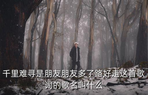 千里難尋是朋友朋友多了路好走這首歌詞的歌名叫什么