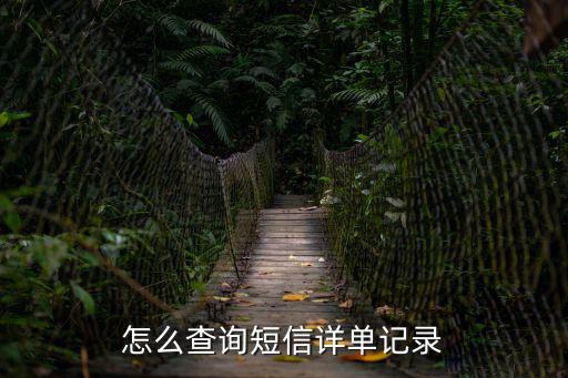 怎么查詢短信詳單記錄