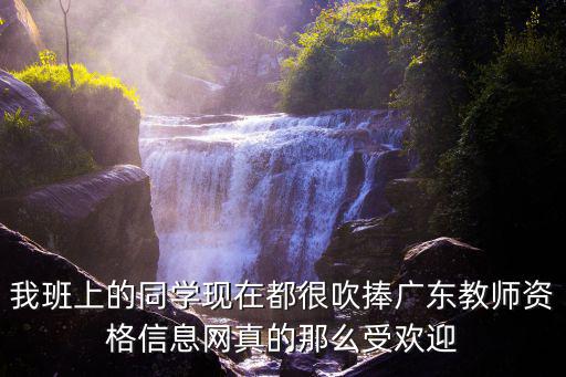 我班上的同學現在都很吹捧廣東教師資格信息網真的那么受歡迎