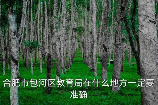 合肥市包河區教育局在什么地方一定要準確
