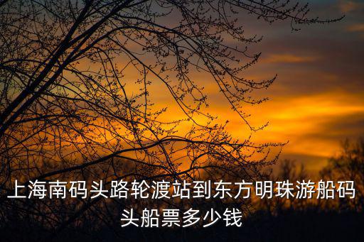 上海南碼頭路輪渡站到東方明珠游船碼頭船票多少錢