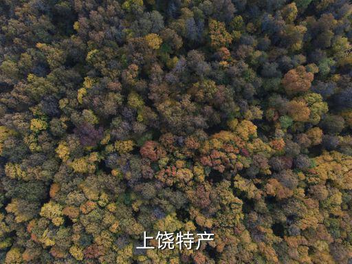 上饒?zhí)禺a(chǎn)