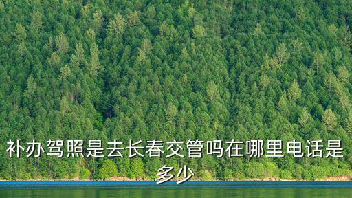 補辦駕照是去長春交管嗎在哪里電話是多少