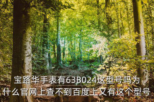 寶路華手表有63B024這型號嗎為什么官網上查不到百度上又有這個型號