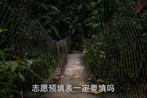 志愿預(yù)填表一定要填嗎