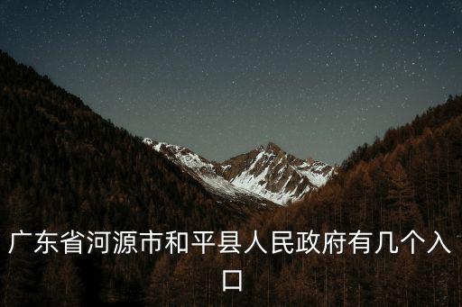 廣東省河源市和平縣人民政府有幾個入口