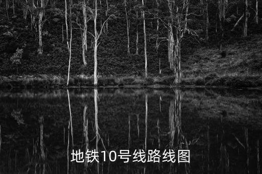 地鐵十號(hào)線線路圖，上海地鐵10號(hào)線線路圖