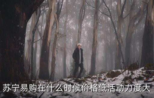 蘇寧易購在什么時候價格低活動力度大