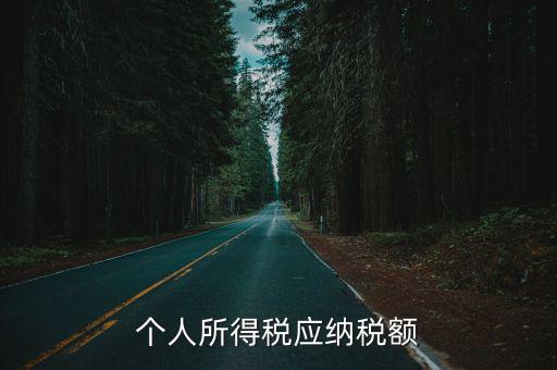 個人應納稅所得額，個人所得稅應納稅額